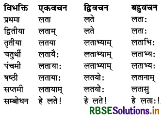 RBSE Class 7 Sanskrit व्याकरण शब्द-रूपाणि 4