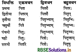 RBSE Class 7 Sanskrit व्याकरण शब्द-रूपाणि 5