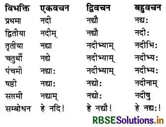 RBSE Class 7 Sanskrit व्याकरण शब्द-रूपाणि 7