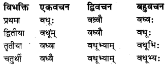 RBSE Class 7 Sanskrit व्याकरण शब्द-रूपाणि 8