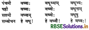 RBSE Class 7 Sanskrit व्याकरण शब्द-रूपाणि 9