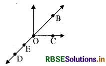 RBSE Solutions for Class 6 Maths Chapter 4 आधारभूत ज्यामितीय अवधारणाएँ Ex 4.1 1