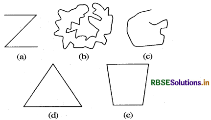 RBSE Solutions for Class 6 Maths Chapter 4 आधारभूत ज्यामितीय अवधारणाएँ Ex 4.2 1