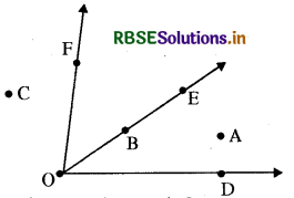 RBSE Solutions for Class 6 Maths Chapter 4 आधारभूत ज्यामितीय अवधारणाएँ Ex 4.3 