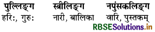 RBSE Class 7 Sanskrit व्याकरण लिङ्ग-ज्ञानम् 1