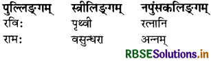 RBSE Class 7 Sanskrit व्याकरण लिङ्ग-ज्ञानम् 2
