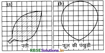 RBSE Solutions for Class 6 Maths Chapter 10 क्षेत्रमिति Intext Questions 8