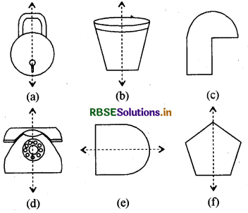 RBSE Solutions for Class 6 Maths Chapter 13 सममिति Ex 13.1 2