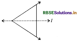 RBSE Solutions for Class 6 Maths Chapter 13 सममिति Ex 13.1 6