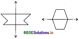 RBSE Solutions for Class 6 Maths Chapter 13 सममिति Ex 13.2 10