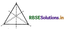RBSE Solutions for Class 6 Maths Chapter 13 सममिति Ex 13.2 5