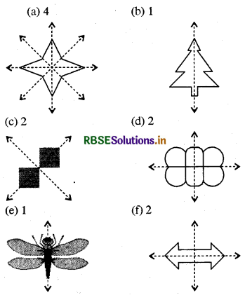 RBSE Solutions for Class 6 Maths Chapter 13 सममिति Ex 13.3 1