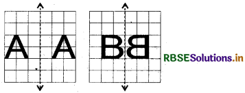 RBSE Solutions for Class 6 Maths Chapter 13 सममिति Ex 13.3 5