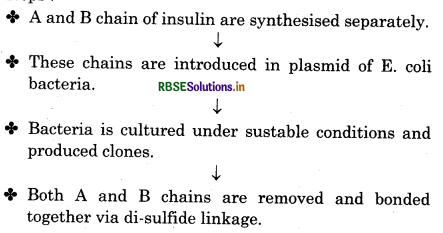 RBSE Class 12 Biology Important Questions Chapter 12 Biotechnology and its Applications 1