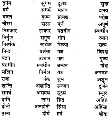 RBSE Class 6 Hindi Vyakaran विलोम शब्द 2