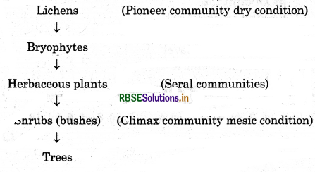 RBSE Class 12 Biology Important Questions Chapter 14 Ecosystem 10