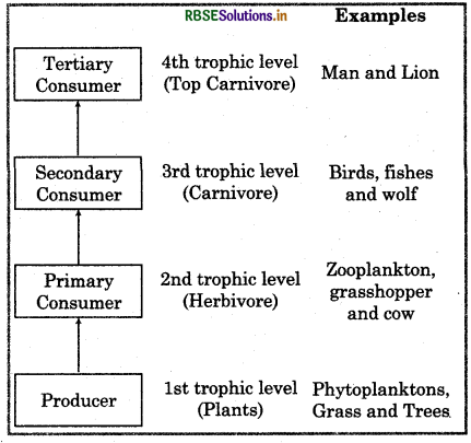 RBSE Class 12 Biology Important Questions Chapter 14 Ecosystem 6