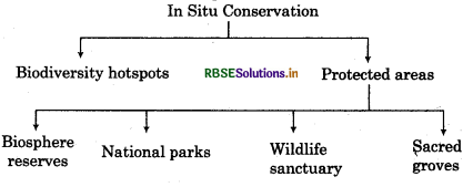 RBSE Class 12 Biology Important Questions Chapter 15 Biodiversity and Conservation 1