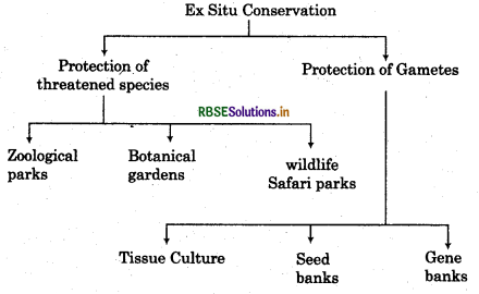 RBSE Class 12 Biology Important Questions Chapter 15 Biodiversity and Conservation 2