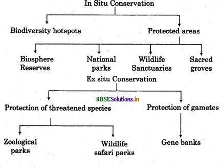 RBSE Class 12 Biology Important Questions Chapter 15 Biodiversity and Conservation 3