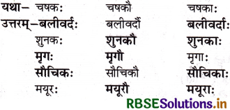 RBSE Solutions for Class 6 Sanskrit Ruchira Chapter 1 शब्द परिचयः - I 2