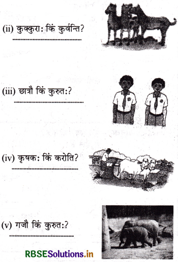RBSE Solutions for Class 6 Sanskrit Ruchira Chapter 1 शब्द परिचयः - I 5