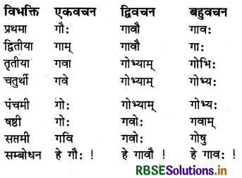 RBSE Class 6 Sanskrit व्याकरण शब्दरूपाणि - संज्ञा-शब्द, सर्वनाम-शब्द 10