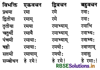 RBSE Class 6 Sanskrit व्याकरण शब्दरूपाणि - संज्ञा-शब्द, सर्वनाम-शब्द 11