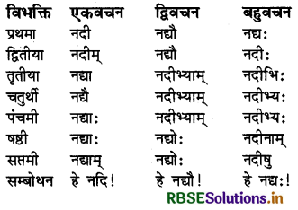 RBSE Class 6 Sanskrit व्याकरण शब्दरूपाणि - संज्ञा-शब्द, सर्वनाम-शब्द 13