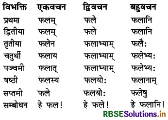 RBSE Class 6 Sanskrit व्याकरण शब्दरूपाणि - संज्ञा-शब्द, सर्वनाम-शब्द 14