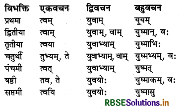 RBSE Class 6 Sanskrit व्याकरण शब्दरूपाणि - संज्ञा-शब्द, सर्वनाम-शब्द 15