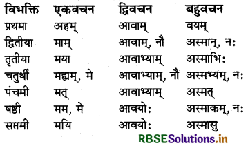RBSE Class 6 Sanskrit व्याकरण शब्दरूपाणि - संज्ञा-शब्द, सर्वनाम-शब्द 16