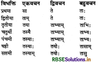 RBSE Class 6 Sanskrit व्याकरण शब्दरूपाणि - संज्ञा-शब्द, सर्वनाम-शब्द 18