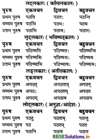 RBSE Class 6 Sanskrit व्याकरण धातु - रूपाणि 1