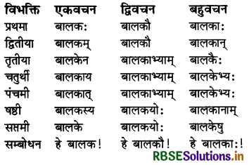 RBSE Class 6 Sanskrit व्याकरण शब्दरूपाणि - संज्ञा-शब्द, सर्वनाम-शब्द 1