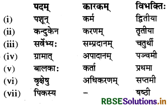 RBSE Class 6 Sanskrit व्याकरण कारक - विभक्ति-परिचयः 2