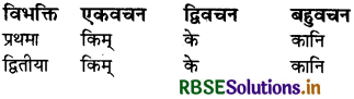 RBSE Class 6 Sanskrit व्याकरण शब्दरूपाणि - संज्ञा-शब्द, सर्वनाम-शब्द 21