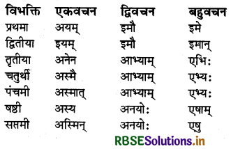 RBSE Class 6 Sanskrit व्याकरण शब्दरूपाणि - संज्ञा-शब्द, सर्वनाम-शब्द 23