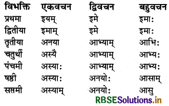 RBSE Class 6 Sanskrit व्याकरण शब्दरूपाणि - संज्ञा-शब्द, सर्वनाम-शब्द 24