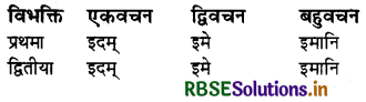 RBSE Class 6 Sanskrit व्याकरण शब्दरूपाणि - संज्ञा-शब्द, सर्वनाम-शब्द 25