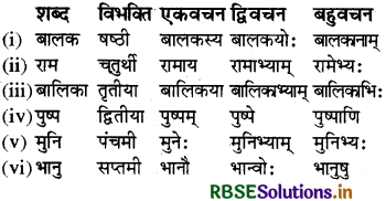 RBSE Class 6 Sanskrit व्याकरण शब्दरूपाणि - संज्ञा-शब्द, सर्वनाम-शब्द 26