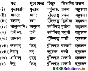 RBSE Class 6 Sanskrit व्याकरण शब्दरूपाणि - संज्ञा-शब्द, सर्वनाम-शब्द 27