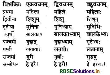 RBSE Class 6 Sanskrit व्याकरण शब्दरूपाणि - संज्ञा-शब्द, सर्वनाम-शब्द 28