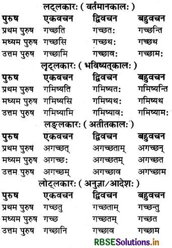 RBSE Class 6 Sanskrit व्याकरण धातु - रूपाणि 2