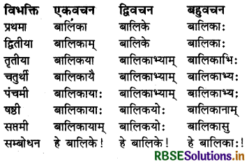 RBSE Class 6 Sanskrit व्याकरण शब्दरूपाणि - संज्ञा-शब्द, सर्वनाम-शब्द 2