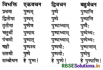 RBSE Class 6 Sanskrit व्याकरण शब्दरूपाणि - संज्ञा-शब्द, सर्वनाम-शब्द 3