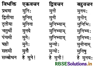 RBSE Class 6 Sanskrit व्याकरण शब्दरूपाणि - संज्ञा-शब्द, सर्वनाम-शब्द 4