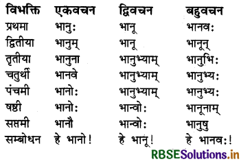 RBSE Class 6 Sanskrit व्याकरण शब्दरूपाणि - संज्ञा-शब्द, सर्वनाम-शब्द 5