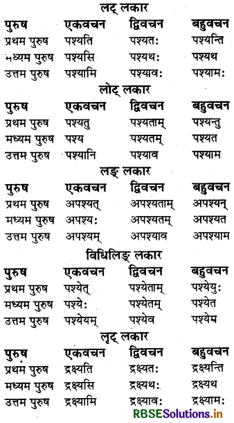 RBSE Class 6 Sanskrit व्याकरण धातु - रूपाणि 5