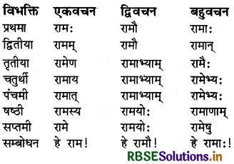 RBSE Class 6 Sanskrit व्याकरण शब्दरूपाणि - संज्ञा-शब्द, सर्वनाम-शब्द 6